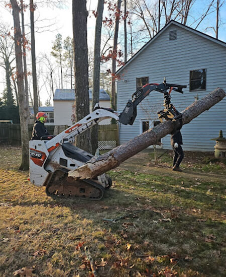 Emergency Tree Removal Johns Creek