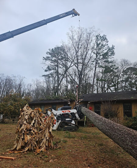 Emergency Tree Removal Marietta
